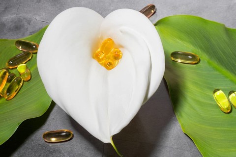 Elegant presentation of high end omega-3 oil supplement capsules on a white calla lily, situated on