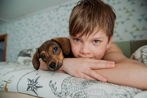 A young boy lying in bed shares a close and affectionate moment with his small dachshund puppy,