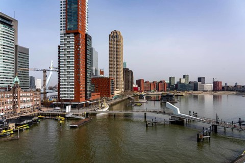 Kop van Zuid, Wilhelminapier, skyscrapers on the Nieuwe Maas, skyline of the city center, Rijnhaven