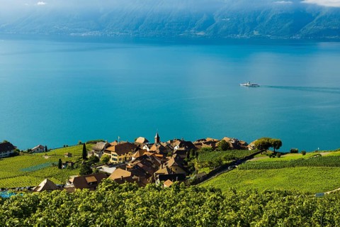 Picturesque village in the vineyards by the lake, Rivaz, Lavaux, UNESCO World Heritage Site, Lake