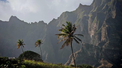 Three palm trees in front of a dramatic mountain range under slightly cloudy sky, spectacular