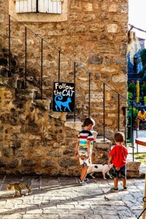 Alstadtgasse with cat, Budva, Montenegro, Budva, Montenegro