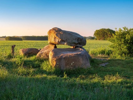 Field landscape with megalithic grave in morning light, dolmen, dolmen grave, Rerik,