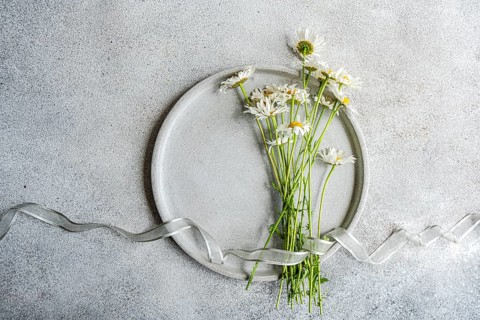 Top view of a bunch of fresh daisy flowers on a round ceramic plate. A graceful ribbon lies on a