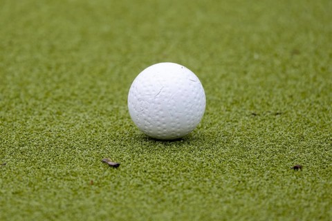 Hockey icon: close-up of a hockey ball on a hockey field