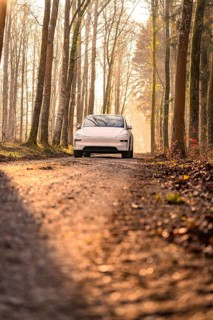 White electric car on a forest path in atmospheric morning lighting surrounded by trees, Tesla New