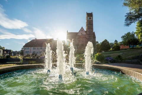 Monastery and monastery church, Alpirsbach, Northern Black Forest, Black Forest, Baden-Württemberg,
