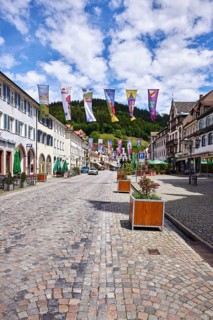 Historic buildings, old town, flower pots, cobblestones, town festival, flags for the town