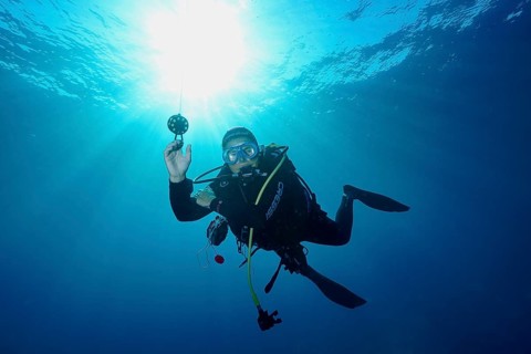 Diver poses underwater during safety stop with sunrays penetrating the surface, Giens Peninsula