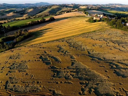 Aerial view of rural fields near Macerata, Italy, during golden hour. Rolling hills, cultivated