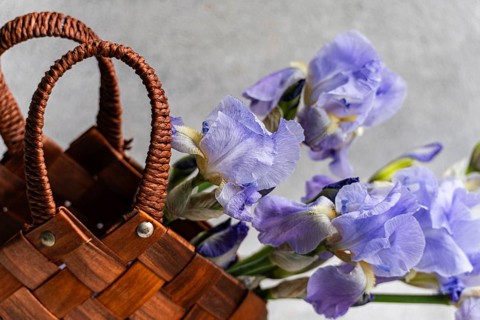 Fresh Iris flowers elegantly arranged in a woven basket, placed against a textured gray background.