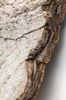 Close-up of the rough texture and cracks in a piece of wood
