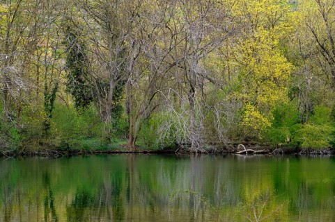 Bird sanctuary, riparian landscape, reflection, Max-Eyth-See, Hofen, Stuttgart, Baden-Württemberg,