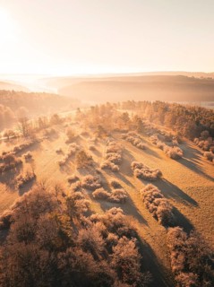Sunny hilly landscape with trees and fields in warm autumn light, Gechingen district of Calw, Black