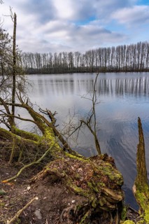 The Bislicher Insel, nature reserve on the Rhine, Altrheinarm, near Xanten, Lower Rhine, Wesel