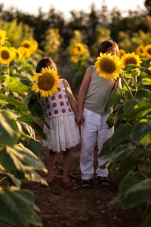 Two children hold hands in a vibrant sunflower field, their faces playfully obscured by the