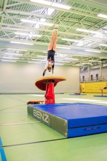 A gymnast does a handstand exercise on a horse jumping machine in a gym, Gymnastics, Calw, Germany