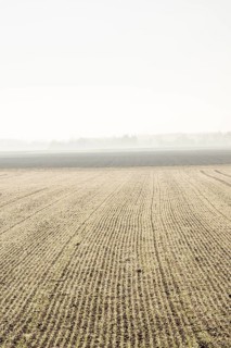 Early Morning ladscape of fields with frost, Wörth an der Donau, Regensburg, Upper Palatinate,