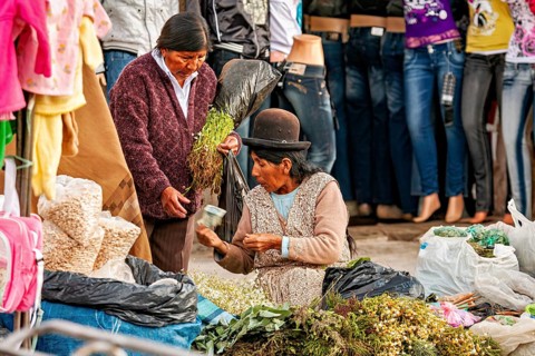 Two woman in traditional clothing selling herbs and plants at a street market, The street market of