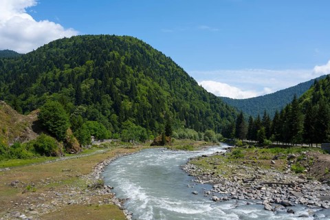 River snakes through a mountain valley, lined with green forests under clear skies, landscape near
