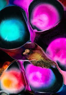 A vibrant abstract painting with vivid pink, blue, and orange hues. liquids textures and dynamic