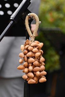 Kenari shaker, a percussion music instrument made from Kenari seed nutshells attached to a wrist