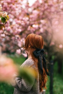 Back view of an unrecognizable woman with red hair, gazing at vibrant cherry blossoms and tulips in
