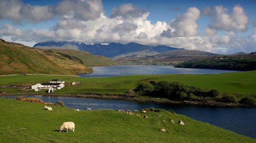 Europe, Scotland, England, Isle of Skye, landscape with sheep and house