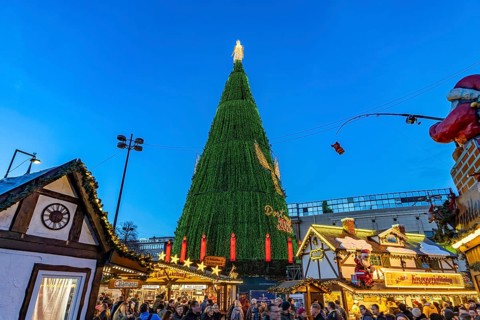 The huge Christmas tree at Dortmund's Christmas market at dusk, Dortmund, North Rhine-Westphalia,