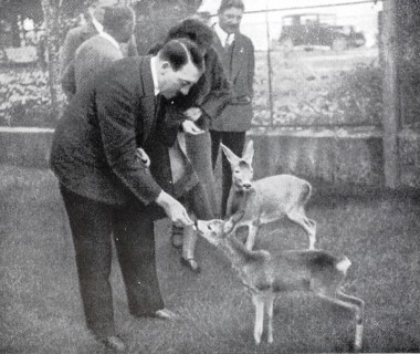 Adolf Hitler feeding fawns, Adolf Hitler (born 20 April 1889 in Braunau am Inn, died 30 April 1945