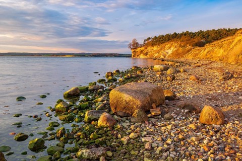Rocky beach with boulders on the cliffs of the Bay of Greifswald in the evening light, Mönchgut