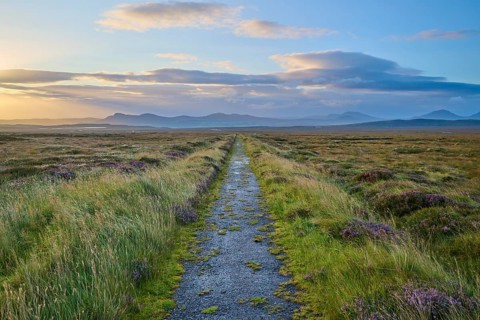 Narrow trail leads through green fields under blue sky, mountains and clouds visible in the
