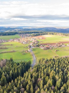 Bird's eye view of a small village, surrounded by forests and fields, in a hilly landscape under a