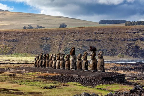 Several Moai statues stand in a row in a grassy landscape, The Moai statues on Easter Island in the