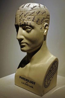 Phrenology bust by L.N. Fowler, pseudoscience of the nineteenth century