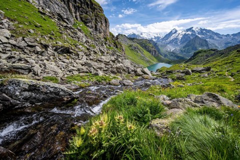 Mountain stream in picturesque mountain landscape, view of mountain lake Lac du Louvie and