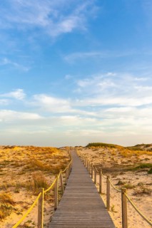 Wooden walkway leading through sand dunes toward the horizon under a clear blue sky, presenting a