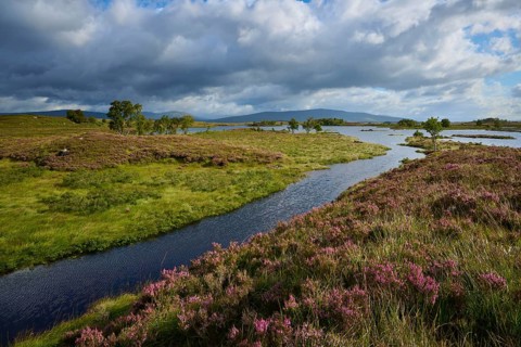 River snakes through green landscape under a cloudy sky, Rannoch Moor, Bridge of Orchy, Scotland,