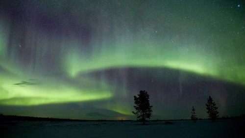 Aurora borealis in green colors over snow covered landscape at night, Lapland, Finland