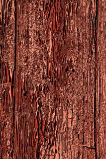 Detail of an old wheathered door