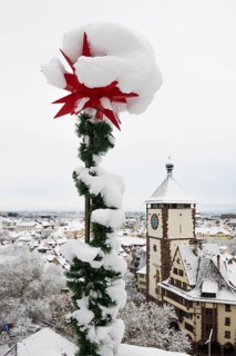 Snow-covered star and houses in the historic city centre, Freiburg im Breisgau, Black Forest,
