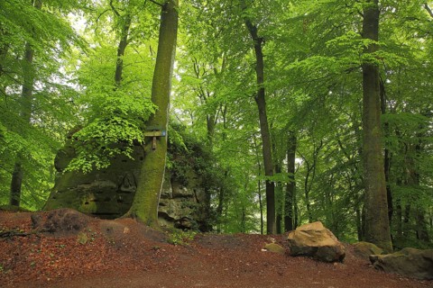 Devil's Gorge, rock formation in the forest, nature photography, Irrel, Südeifel, Eifel,
