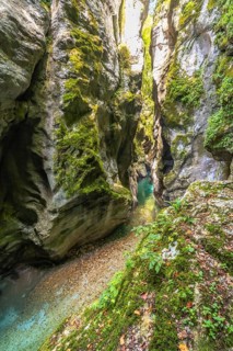 Crystalline water flowing between mossy cliffs at tolmin gorges in slovenia, creating a stunning
