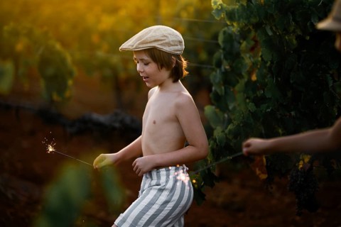 A young boy holds a sparkler in a sunlit vineyard, evoking a sense of carefree joy and childhood