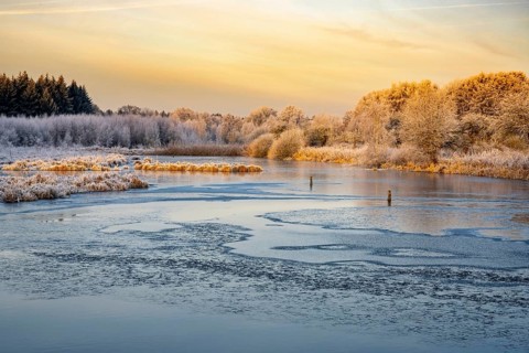 Winter hoarfrost at Ahlhorn fish ponds, Ahlhorn fish ponds, Ahlhorn, Lower Saxony, Germany