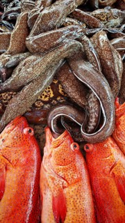 Large red fish, parrotfish (Scarinae) and moray eels (muraena helena) neatly presented on a market