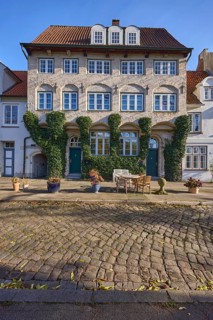 Historic house, facades with windows, doors and wall ties, Common ivy (Hedera helix), roofs with