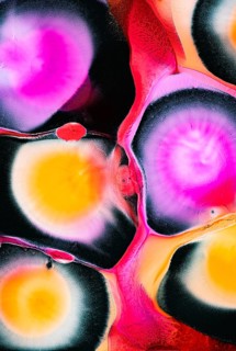 A vibrant abstract artwork featuring colorful circles and organic forms. Bright pink, yellow, and