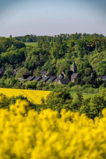 View over the Ruhr valley to Mülheim-Mintard, rape field in bloom, St Laurentius Church, North