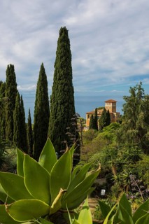 Botanical Garden, Giardino Hanbury, La Mortola, near Ventimiglia, Riviera dei Fiori, Liguria, Italy